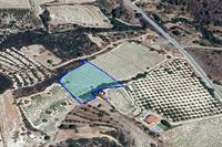 3025 SQM Land in Kapileio (Limassol) for sale 