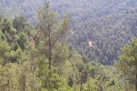 21786 SQM Land · Kampia (Nicosia) for sale 