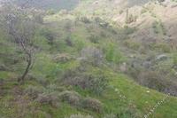 2007 SQM Land in Pentalia (Paphos) for sale 