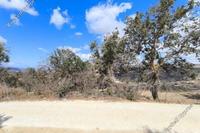 5853 SQM Land · Polemi (Paphos) for sale 