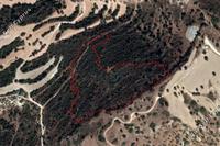 16723 SQM Plot in Agios Theodoros Larnacas (Larnaca) for sale 