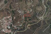 3577 SQM Land in Agioi Vavatsinias (Larnaca) for sale 
