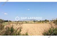 12654 SQM Land in Mazotos (Larnaca) for sale 