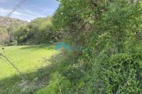 7693 SQM Land in Peristerona Pafou (Paphos) for sale 