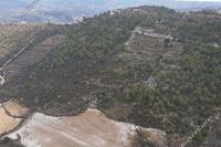 5352 SQM Land in Mesana (Paphos) for sale 