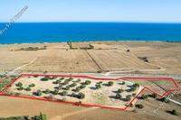 12357 SQM Land · Mazotos (Larnaca) for sale 