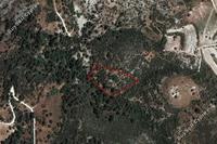 6689 SQM Land · Dora (Limassol) for sale 