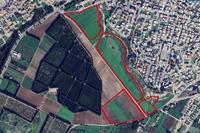 77263 SQM Land in Geroskipou (Paphos) for sale 