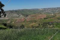 11372 SQM Land · Choletria (Paphos) for sale 