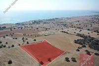 7024 SQM Land · Agios Theodoros Larnacas (Larnaca) for sale 