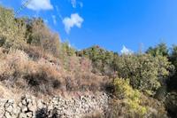 3345 SQM Land in Lagoudera (Nicosia) for sale 