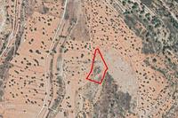 9031 SQM Land in Pachna (Limassol) for sale 