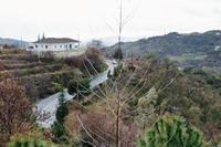 548 SQM Land · Agros (Limassol) for sale 