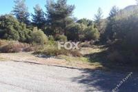 5017 SQM Land in Pano Polemidia (Limassol) for sale 