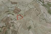 7693 SQM Land · Pissouri (Limassol) for sale 