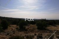 11037 SQM Land in Pano Kivides (Limassol) for sale 