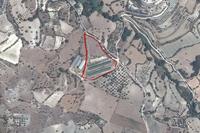 14600 SQM Land in Kritou Marottou (Paphos) for sale 