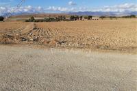 4014 SQM Plot · Mammari (Nicosia) for sale 