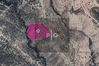 38462 SQM Land · Agios Therapon (Limassol) for sale 