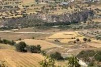 3679 SQM Land · Drimou (Paphos) for sale 