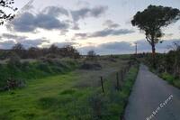 5150 SQM Land · Kato Koutrafas (Nicosia) for sale 