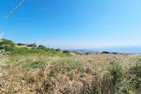 2342 SQM Land in Drousia (Paphos) for sale 