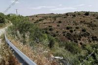 10368 SQM Land in Tsada (Paphos) for sale 