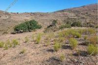 5017 SQM Land in Ineia (Paphos) for sale 