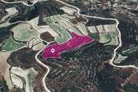 10257 SQM Land in Koilani (Limassol) for sale 