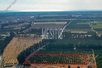 12000 SQM Plot · Kato Polemidia (Limassol) for sale 