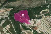 75206 SQM Land in Koili (Paphos) for sale 