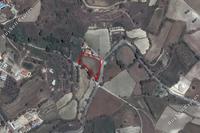 2342 SQM Land in Stroumbi (Paphos) for sale 