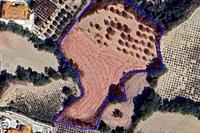 6355 SQM Plot · Stroumbi (Paphos) for sale 