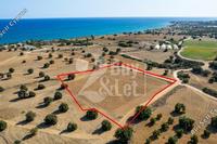 7024 SQM Plot in Agios Theodoros Larnacas (Larnaca) for sale 