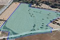19037 SQM Plot in Anglisides (Larnaca) for sale 