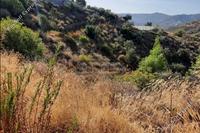 2370 SQM Land in Melini (Larnaca) for sale 