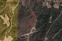 19064 SQM Land in Fikardou (Nicosia) for sale 