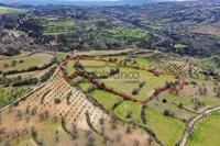 18395 SQM Land · Drimou (Paphos) for sale 