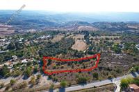 5352 SQM Land · Drynia (Paphos) for sale 