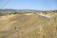 10034 SQM Land · Drynia (Paphos) for sale 