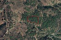 2258 SQM Land in Kalopanagiotis (Nicosia) for sale 