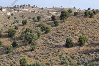 10703 SQM Land · Agia Anna (Larnaca) for sale 