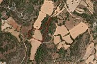 11372 SQM Land · Lysos (Paphos) for sale 
