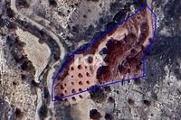 14419 SQM Land in Polemi (Paphos) for sale 