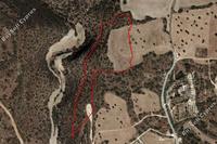 15050 SQM Land in Agios Theodoros Larnacas (Larnaca) for sale 