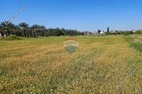 520 SQM Plot in Psimolofou (Nicosia) for sale 