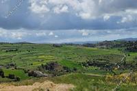 14911 SQM Land in Drynia (Paphos) for sale 