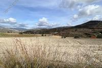 5017 SQM Land · Dora (Limassol) for sale 