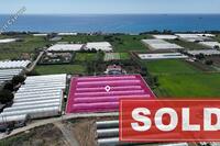 5270 SQM Land in Maroni (Larnaca) for sale 