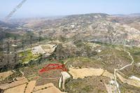 5686 SQM Plot in Dora (Limassol) for sale 